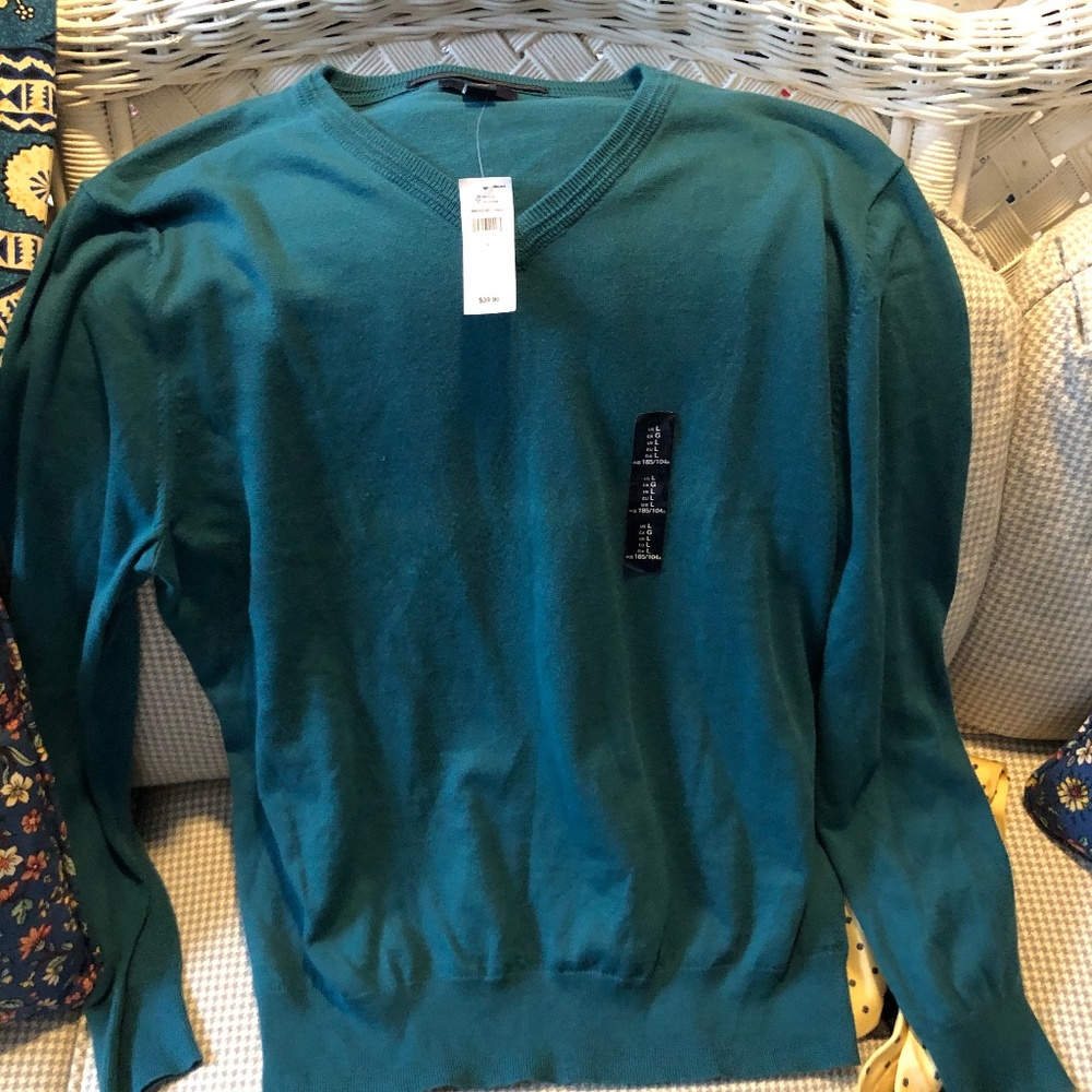 Gap Mens V-Neck Sweater